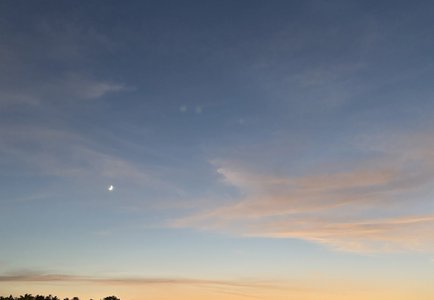 まだ見ぬ自分の存在 - 画像1