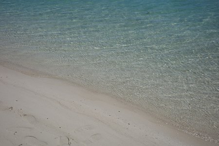 ここからまた広い世界 - 画像1