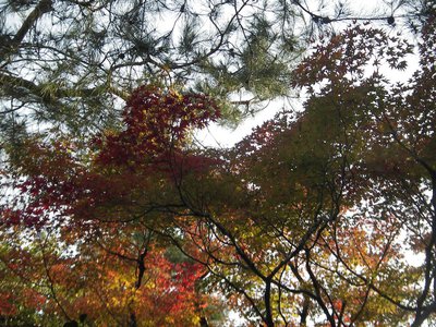 見てほしいものがあんねん - 画像11