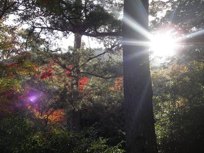 見てほしいものがあんねん - 画像10