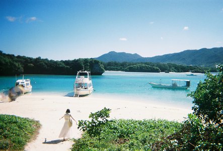 海と桃の香り - 画像3