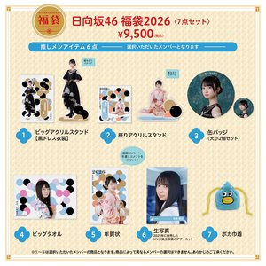 空から落ちて来た星。 - 画像2