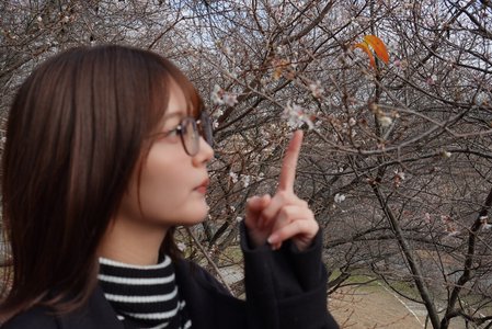 はるはる日記🌱 - 2025年ありがとう！ - - 画像2