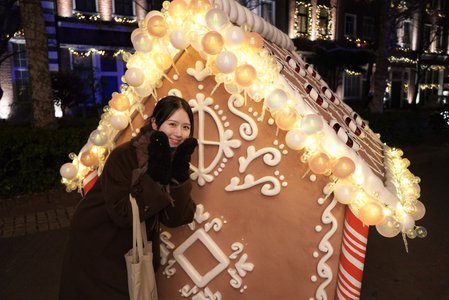 クリスマスの飾りをようやく仕舞ってみたよ。部屋が広く感じる〜のサムネイル