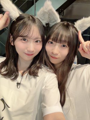 てきぱき - 画像3