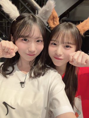 てきぱき - 画像4