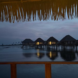 読めばだんだん常夏に感じてくるブログ✈ - 画像3