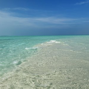 読めばだんだん常夏に感じてくるブログ✈ - 画像5