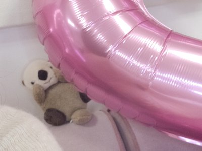 はじめました - 画像6