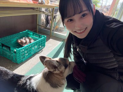 角煮ぐつぐつ中 - 画像5