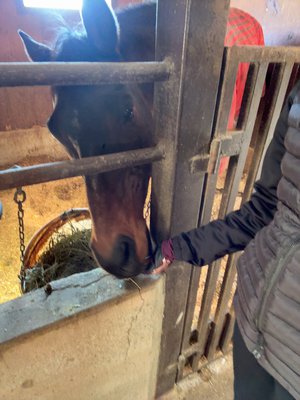 角煮ぐつぐつ中 - 画像6