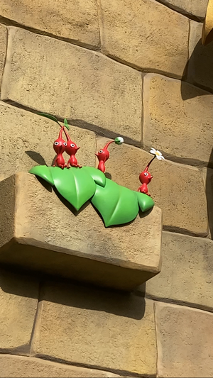 お久しぶりやったの『蔵盛妃那乃』 - 画像7