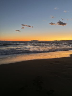 1年ぶりの - 画像4