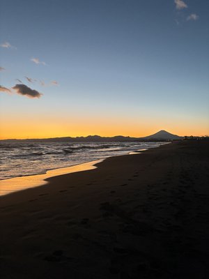 1年ぶりの - 画像5