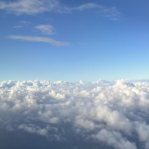 晴れますように - 画像3