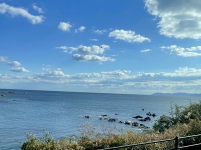 大好き       鶴崎仁香 - 画像5