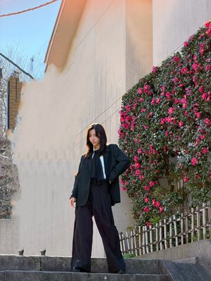 本日発売です🍵 - 画像8