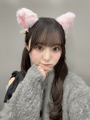 あなたの飼い猫候補 - 画像2