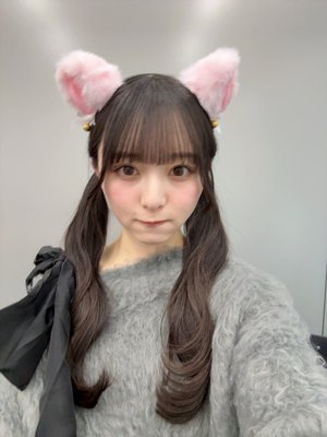 あなたの飼い猫候補 - 画像4