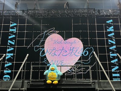 ひなのざちょー - 画像9