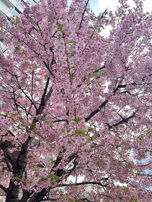 最近のかわいいもの - 画像3