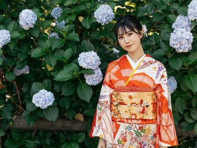 紫陽花のサムネイル