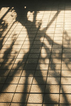 心がふわっと飛んでいく切なさはしんどい正源司　陽子 - 画像6