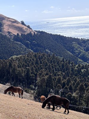 「季節を着替えて」 - 画像4