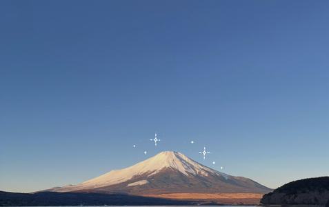 一年目、輝きを目に焼き付けた日々。のサムネイル