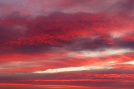 森本茉莉の旅ブログ🗺~ウルル(オーストラリア)~ - 画像6