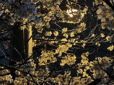 君じゃないといけないこの惑い。 - 画像2