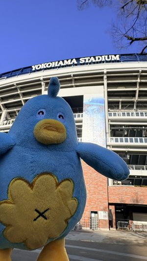 ポカさんぽ2026 in横浜 - 画像17