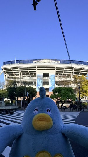 ポカさんぽ2026 in横浜 - 画像18