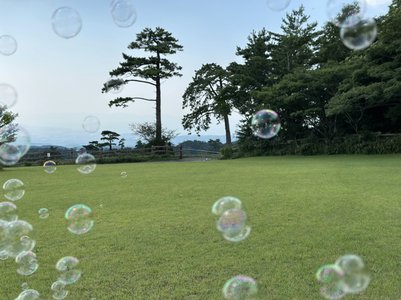 はるよちゃん - 画像6