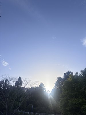 星が綺麗ですね - 画像8