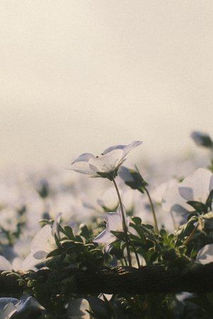 親愛なるあなたへ。何者でもない正源司　陽子より。 - 画像4