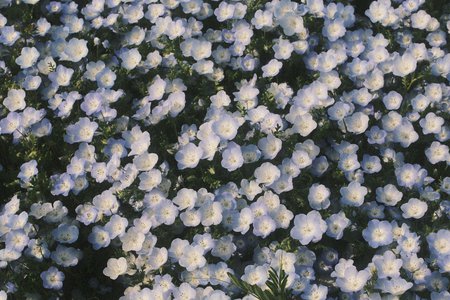 親愛なるあなたへ。何者でもない正源司　陽子より。 - 画像5