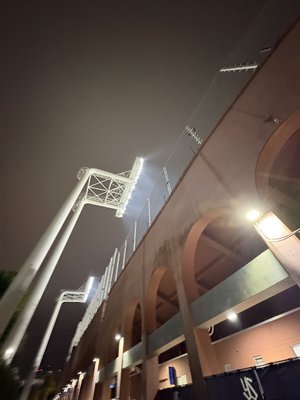 神宮ヤクルト戦 - 画像3