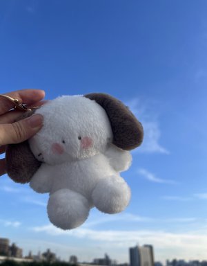 風は今僕に味方してる - 画像2