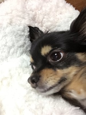 1月♡3日のサムネイル