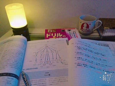 虹花からメールです\❤︎/勉強。勉強。でも楽しい♪のサムネイル