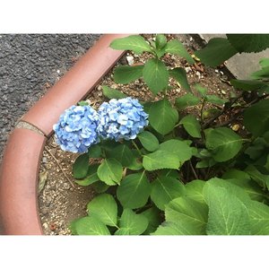 二輪。のサムネイル