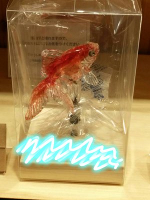 らーじお(๑•̀ㅁ•́ฅ✧のサムネイル