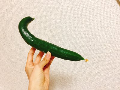 しらすとおかか。のサムネイル