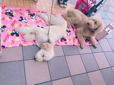 虹花からメールです\❤︎/すこーし。 - 画像2