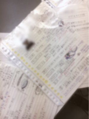 しましま、217 - 画像3