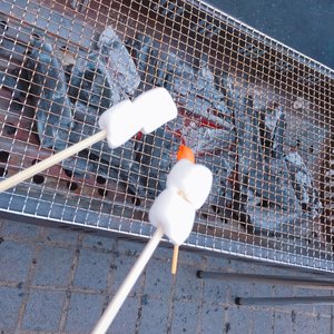 大好きな銀だらのお弁当食べたよ～美味しかったよ～ - 画像3