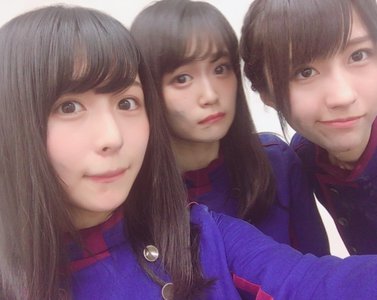 アサガオ、230のサムネイル