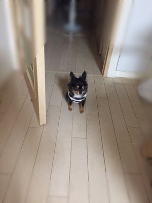至福のひとときᙏ̤̫❤︎のサムネイル