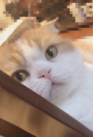 今日はなんの日( ˙꒳​˙ )？ - 画像2